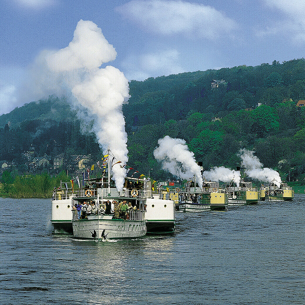 Dresdner Dampferparade im Mai entlang der Elbe