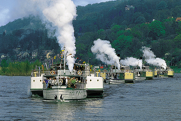 Flottenfahrt – auf Dresdner Art