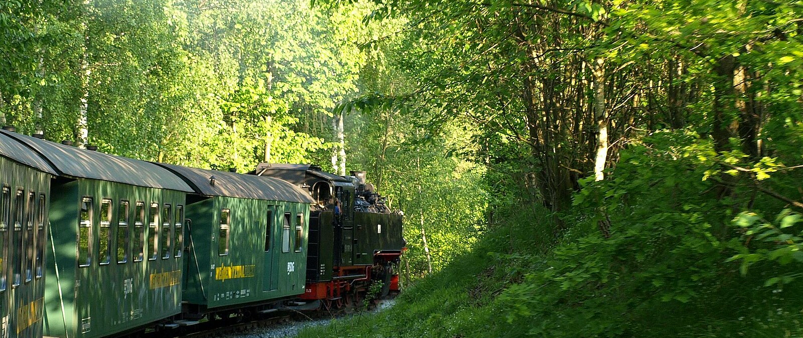 gemütlich geht es mit der Bimmel, wie die Schmalspurbahn auch genannt wird, von Freital nach Dippoldiswalde