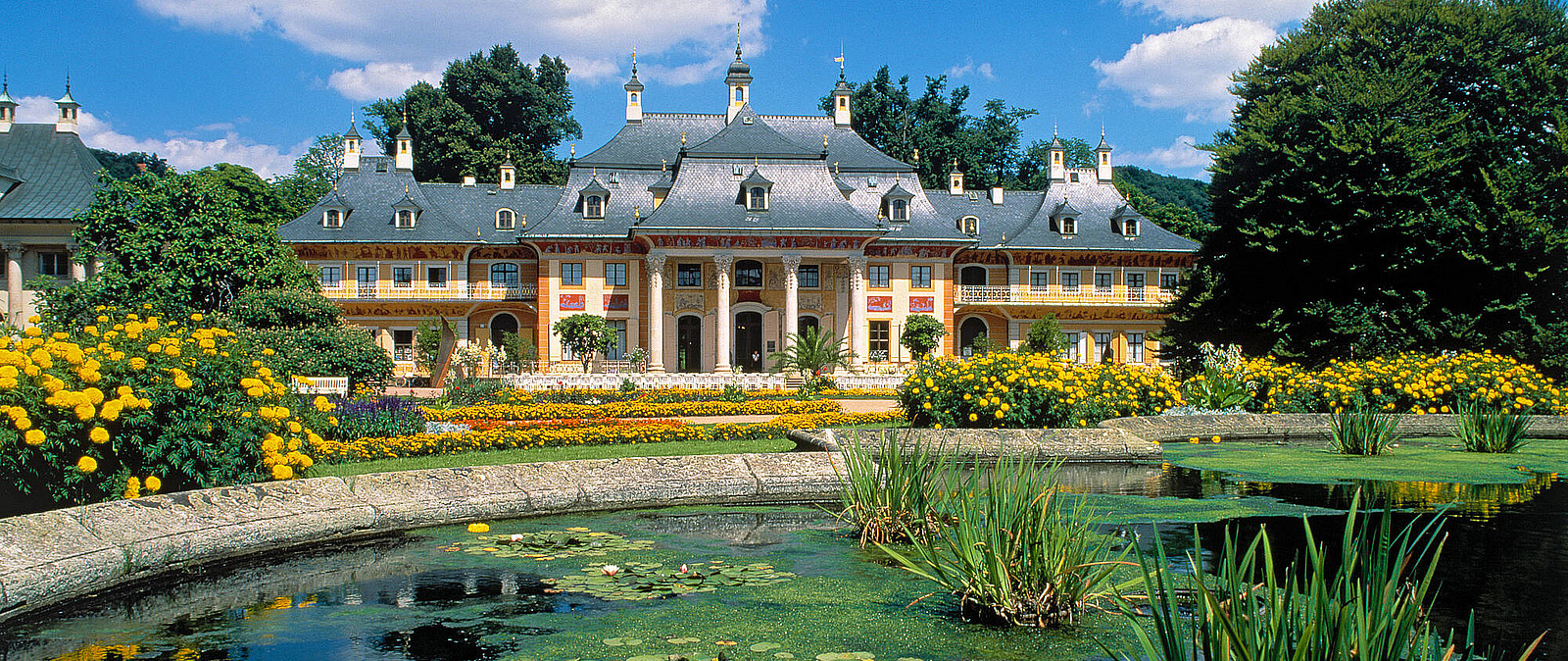 Die Sommerresidenz von August dem Starken lädt zum Verweilen und Genießen ein. Unsere Gästeführung zeigt Ihnen die schönsten Ecken des Pillnitzer Schlossparks, bevor es mit dem Schiff zurück nach Dresden geht. 