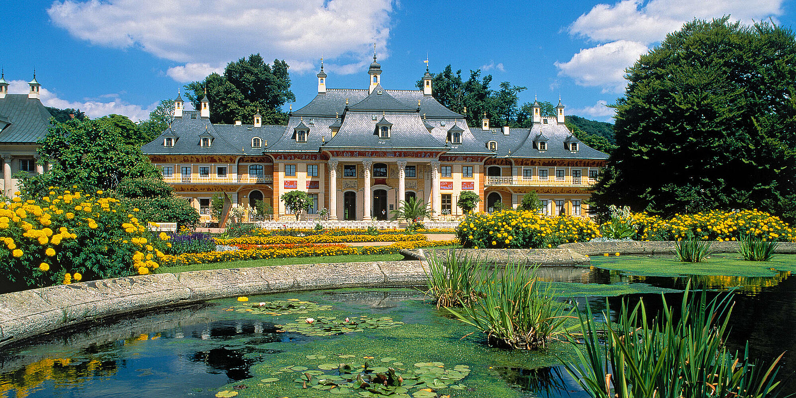 Der Schlosspark Pillnitz ist besonders in den Sommermonaten ein perfektes Ausflugsziel.