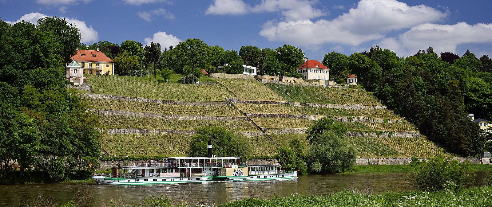 Genießen Sie den Ausblick und kommen Sie zur Ruhe bei einer entspannten Schifffahrt auf der Elbe mit einem der ältesten Schaufelraddampfer der Welt. Entdecken Sie traumhafte Ausblicke auf die sächsischen Weinberge.