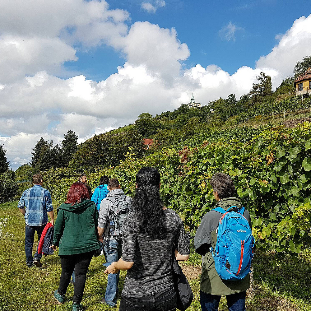 Genießen Sie Ihr Outdoor Teamevent direkt im Weinberg. Unser Gästeführer zeigt Ihnen die Weinstraße von ihrer schönsten Seite und verkostet mit Ihnen sächsische Spitzenweine. Eine gemeinsame Weinverkostung im Weinberg ist immer ein tolles Teamevent.