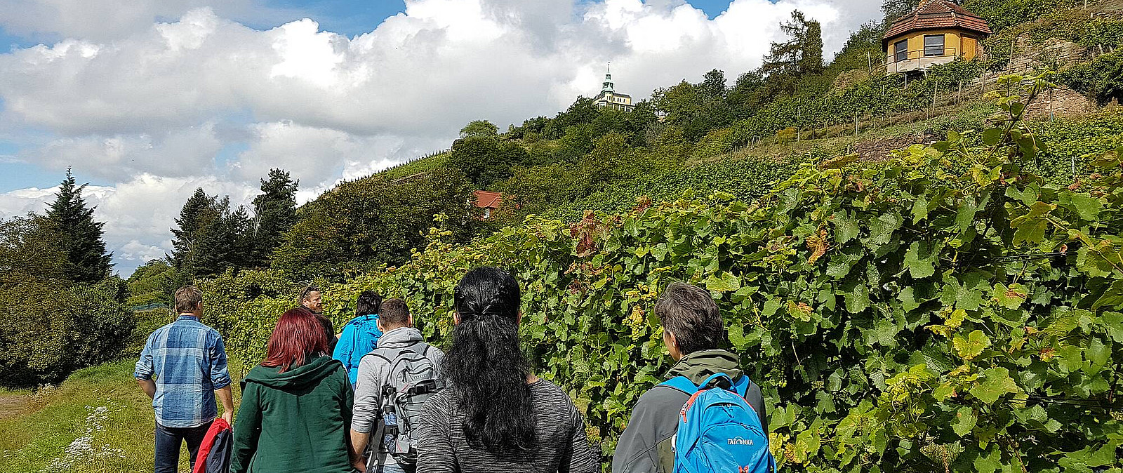 Erleben Sie ein aktives Event an der frischen Luft. Mit unserer Weinwanderung in Radebeul lernen Sie die sächsische Weinkultur genussvoll kennen