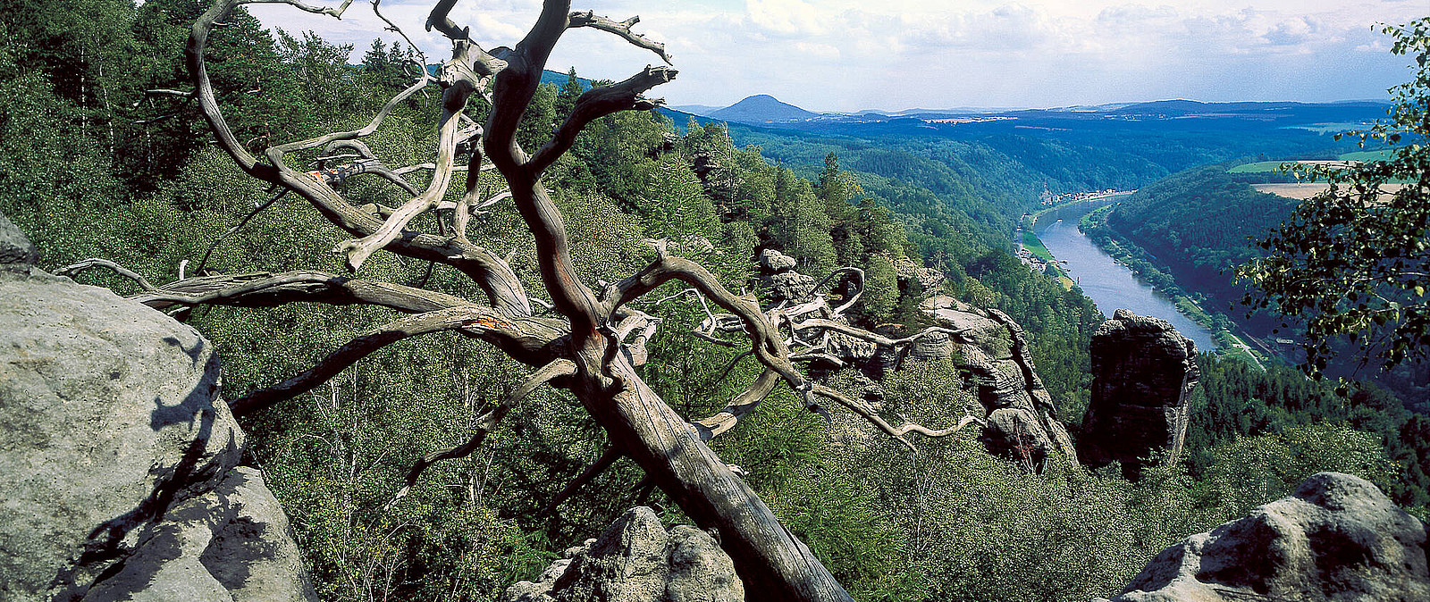 Genießen Sie ein Teamevent in der Sächsischen Schweiz! Unter freiem Himmel und mit verschiedenen Teamaufgaben erleben Sie einen besonderen Tag