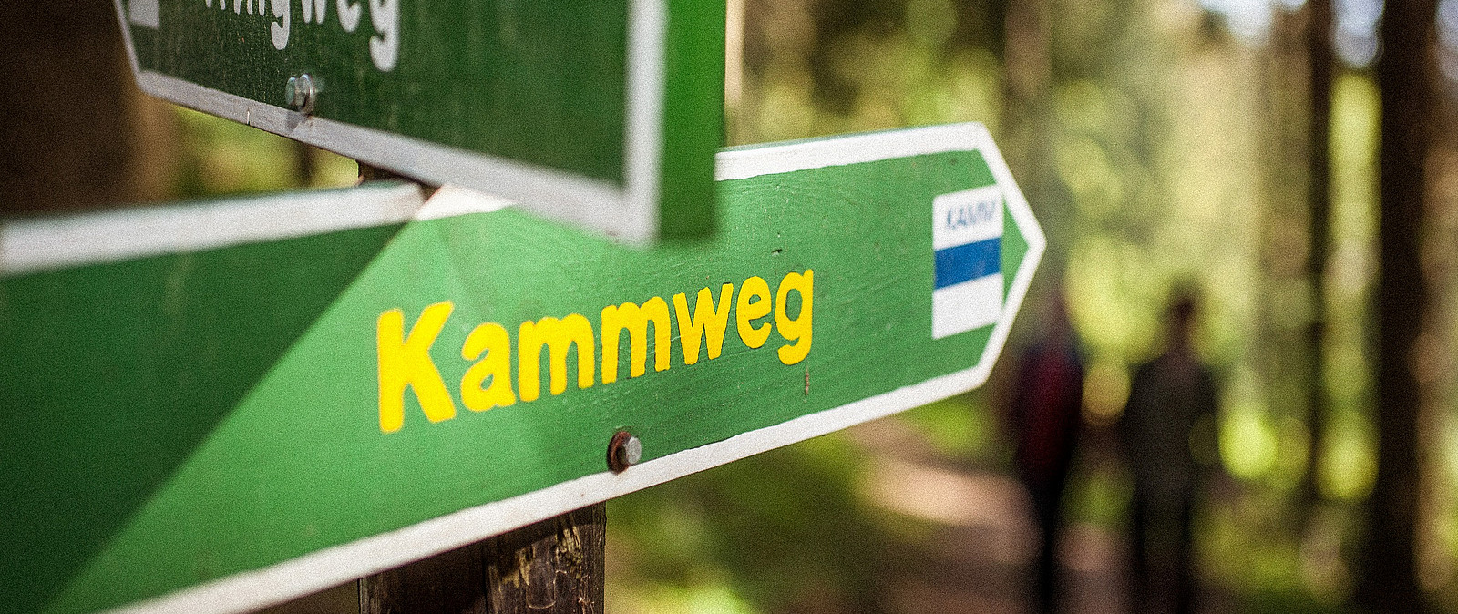 Das Erzgebirge, von Freiberg bis Oberwiesenthal empfängt Sie mit authentischer Natur, sehr gut ausgebauten Wanderwegen und der sächsischen Herzlichkeit