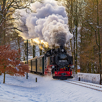 Weingenuss auf schmaler Spur® - Adventsspezial