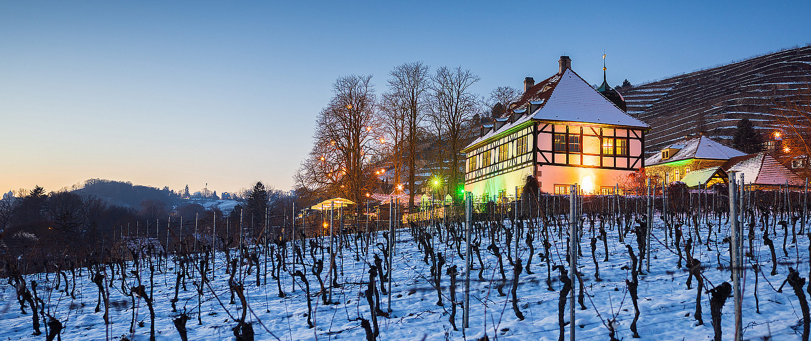 Rundgang mit Glühweinverkostung in Radebeul