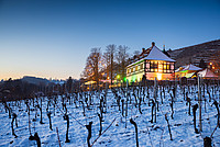 ©Weingut Hoflössnitz