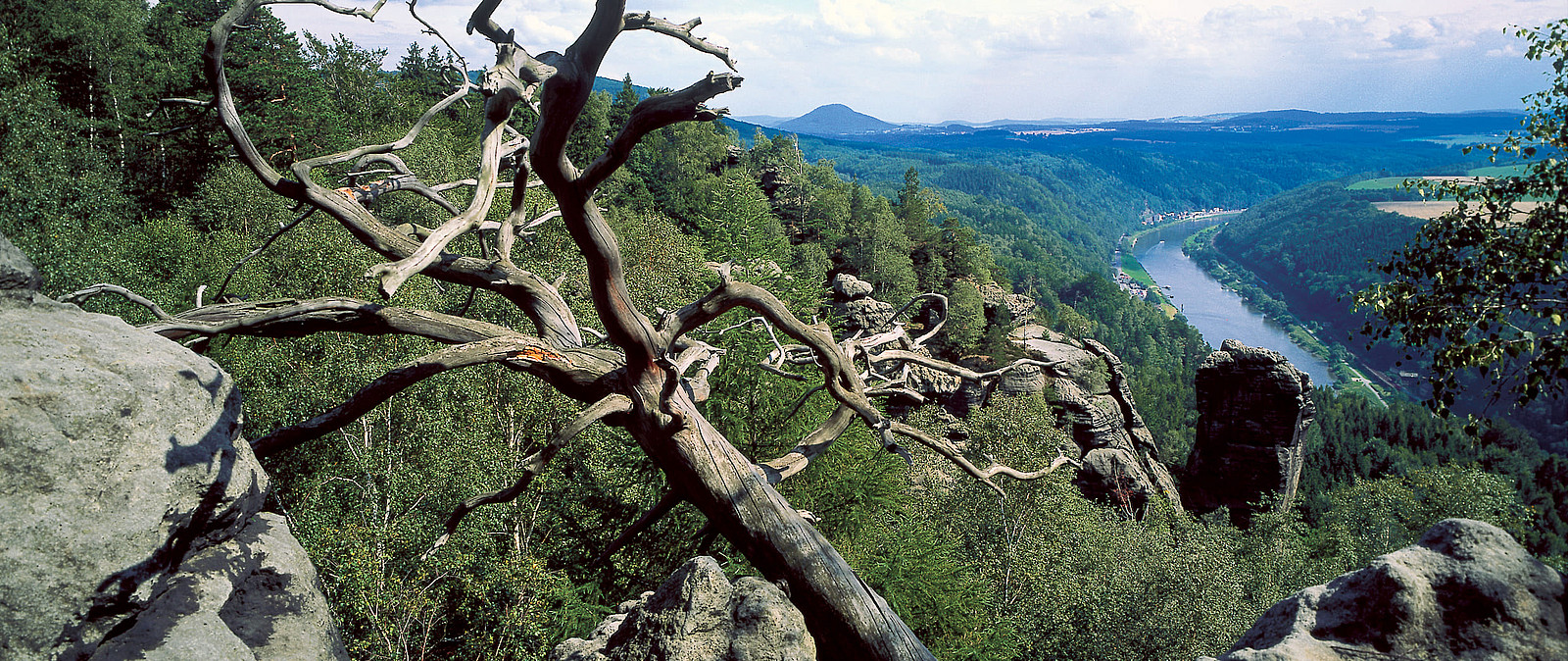 geführte Wanderungen in der Nähe von Dresden