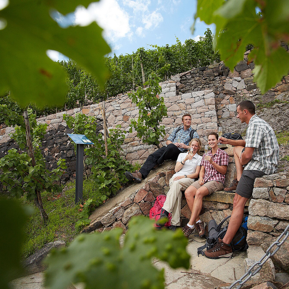Mit Picknickdecken zur Weinprobe im Cossebauder Weinberg