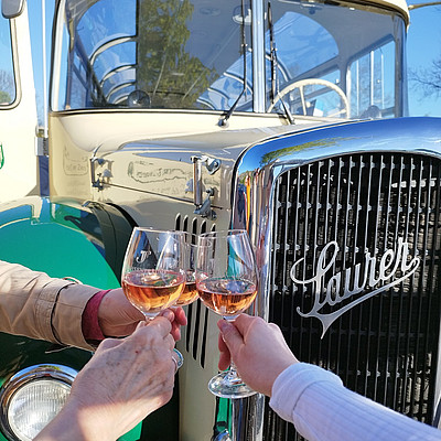 Weinzeit entlang der Elbe Weinzeit entlang der Elbe