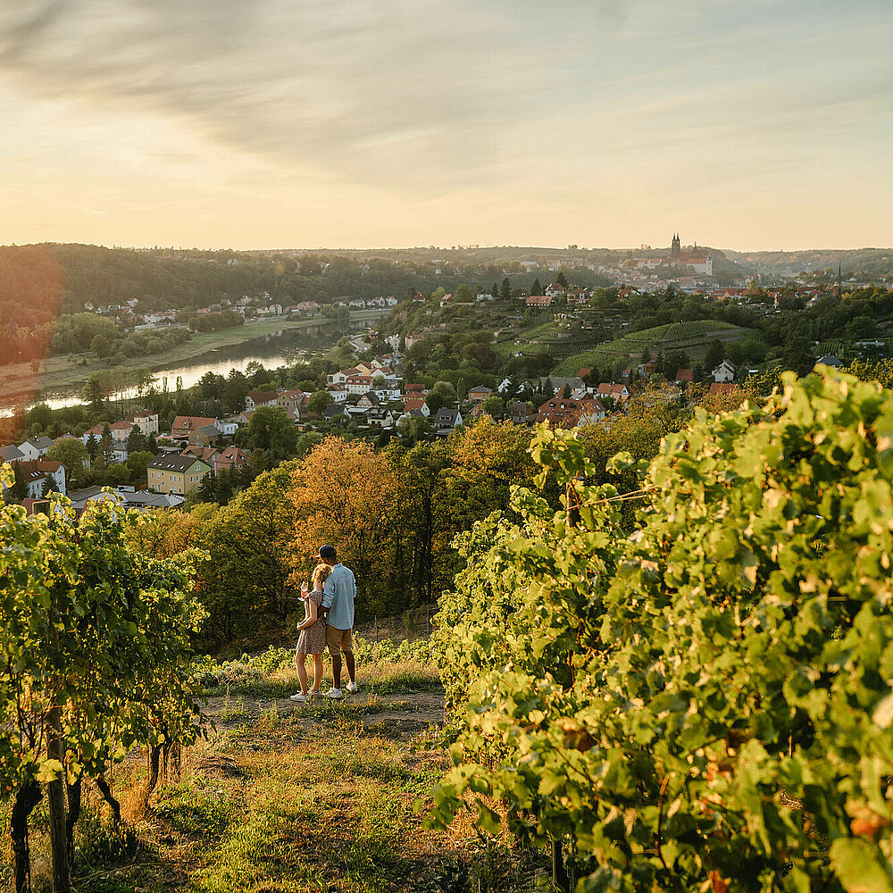 Aus Weinfässern nippen, entlang Sachsens Klippen ist ein Ausflug für Verliebte und Weinlieberhaber gleichermaßen