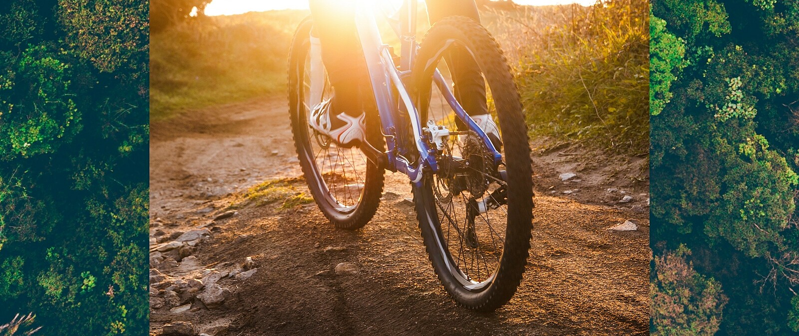 Bei einem tollen aktiven Tag darf ein geliehenes E-Bike für die Gebirgstour im Erzgebirge nicht fehlen. Unsere Bikes stammen u.a. von Haibike oder CUBE.