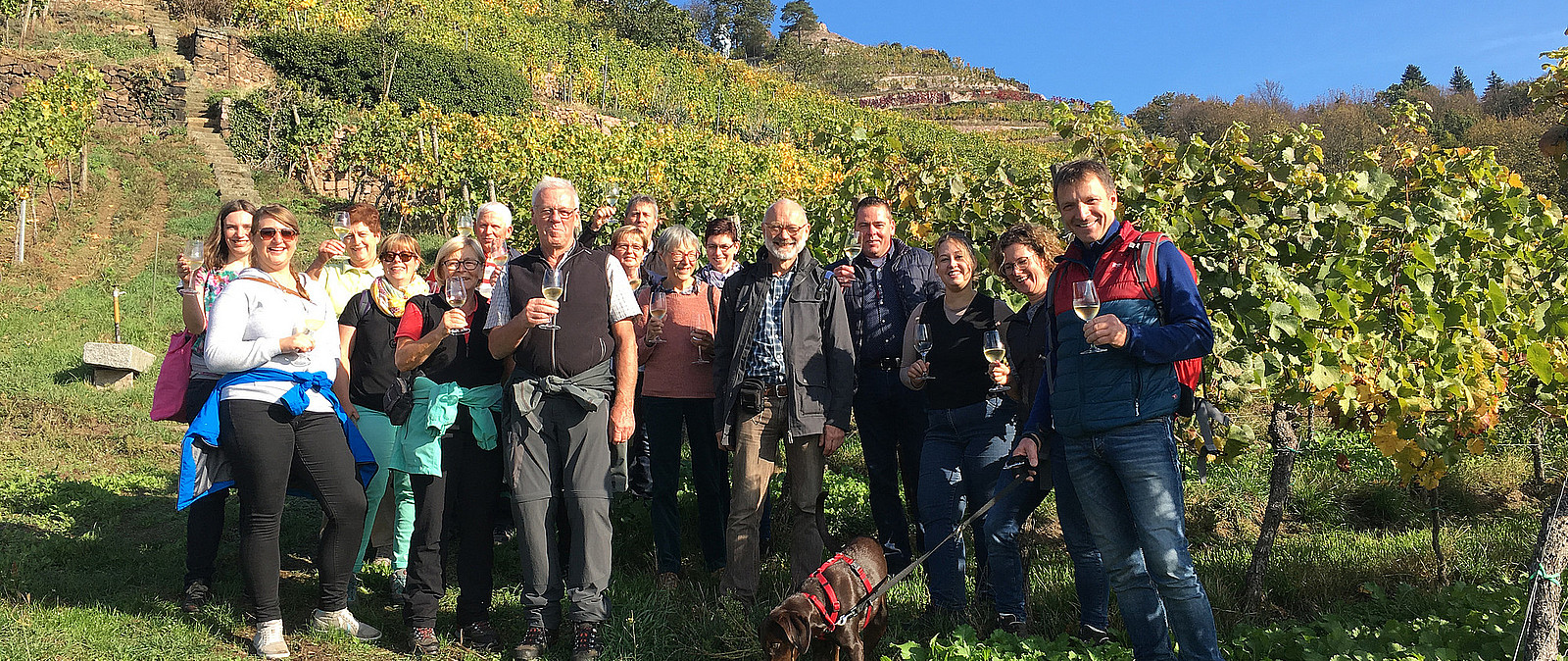 Weinwanderung Radebeul Goldener Wagen