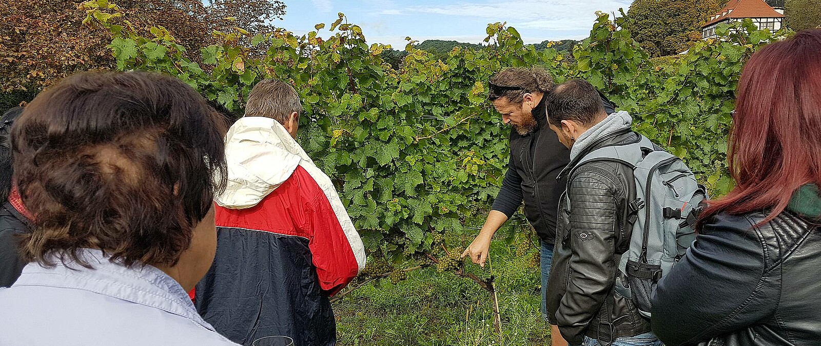 Unser Gästeführer nimmt Sie mit hinter die Kulissen und zeigt Ihnen den Weinberg von seiner schönsten Seite. Erleben Sie die Radebeuler Weinberge und genießen Sie sächsische Spitzenweine.