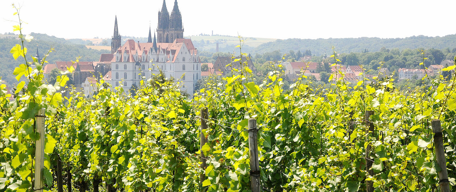 Mit diesem Betriebsausflug zeigen wir Ihnen Meißen nicht nur mit weißem Gold, sondern hier legte Benno auch den Grundstein für den heutigen Weinbau!