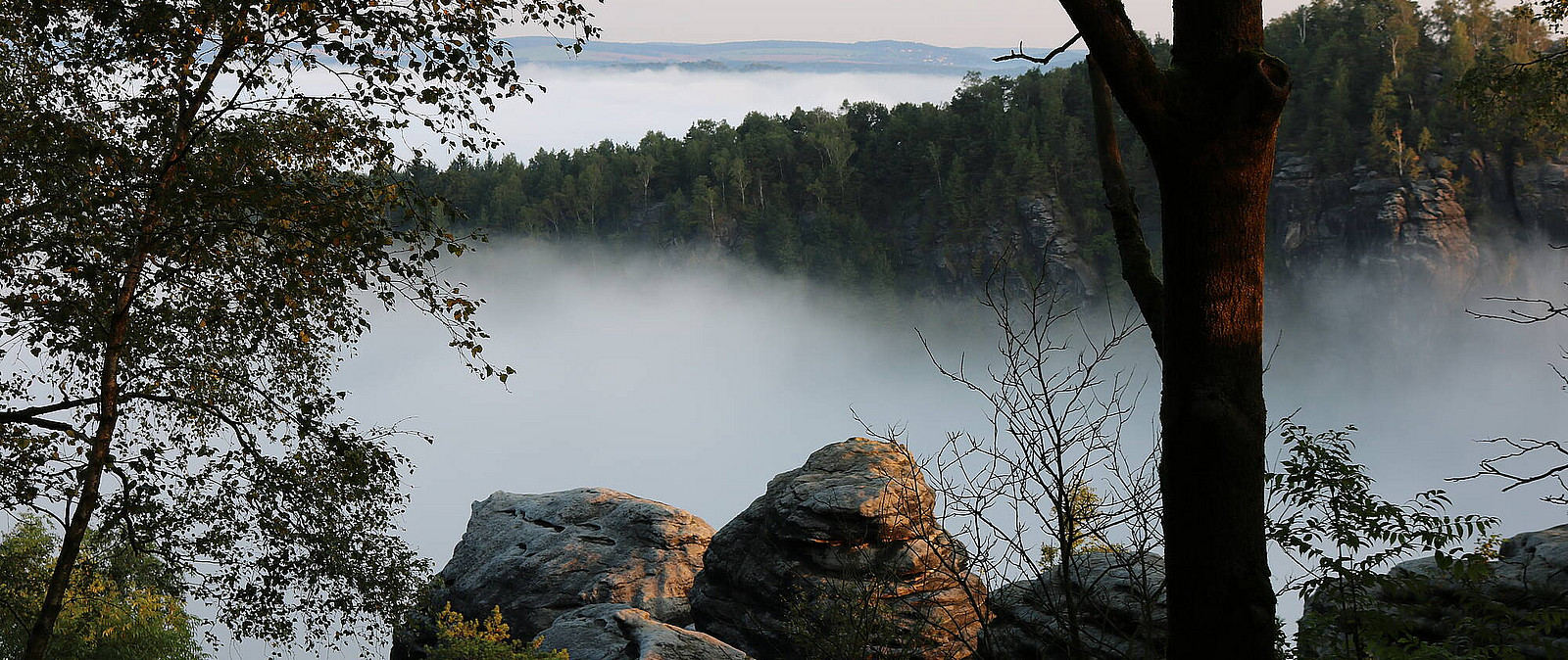 Der Nationalpark lädt zum Träumen und Verweilen ein. Genießen Sie eine einzigartige Aussicht und die Vielfalt der Sächsischen Schweiz. Egal zu welcher Jahreszeit, im Elbsandsteingebirge gibt es immer ein Abenteuer, welches auf Sie wartet!