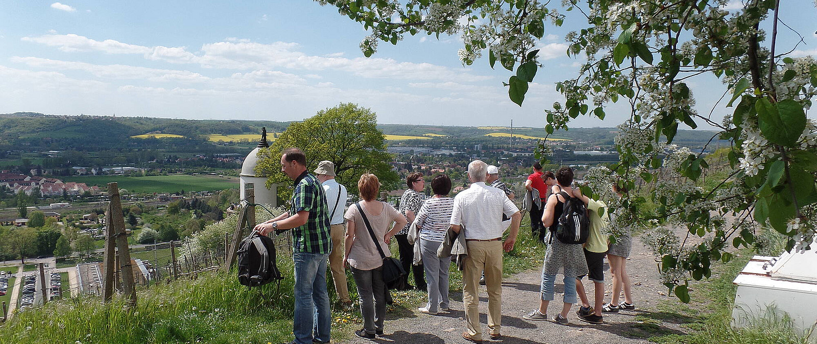 Die Sächsische Weinstraße, beginnend in Diesbar Seusslitz und schlängelnt bis nach Pillnitz, beherbergt mittlerweile zahlreiche hochkarätige Weingüter, wie bspw. Schloss Wackerbarth oder Weingut Schuh.