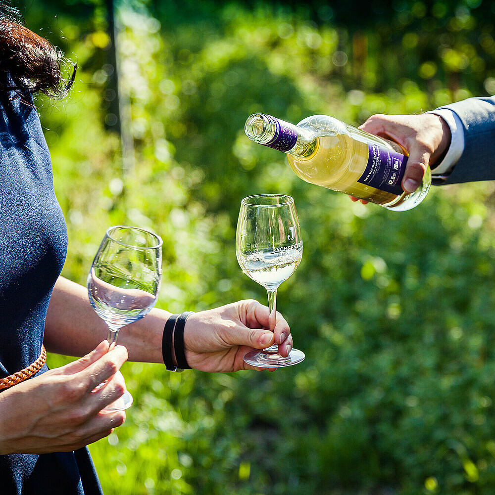 Genießen Sie eine einmalige Aussicht vom Weinberg in Radebeul während Sie den Lieblingswein unseres Winzers verkosten.