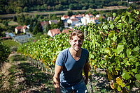 © Weingut Schuh