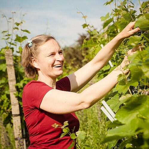 Mit Ines Fehrmann haben wir einen echten Profi um Thema Weinbau in Steillagen