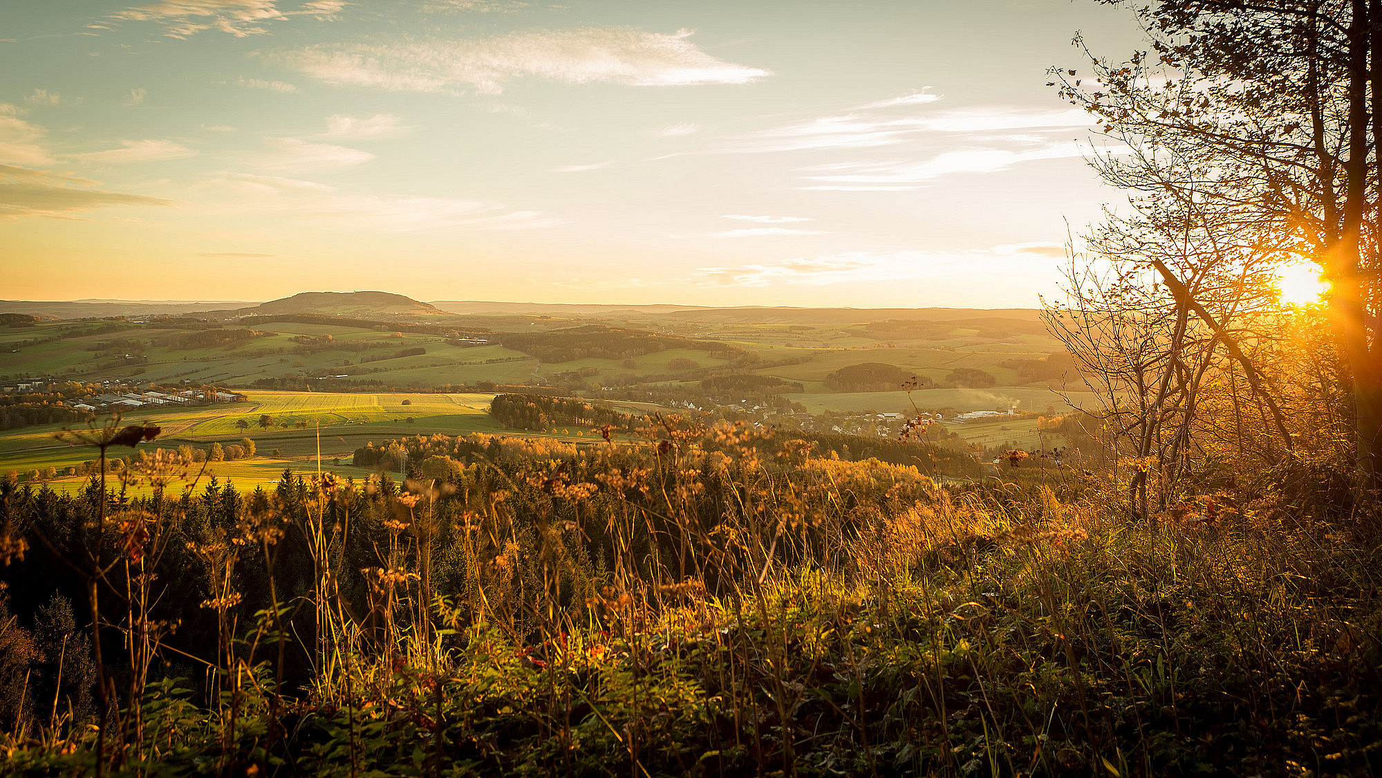 Traveller Review Awards 2026