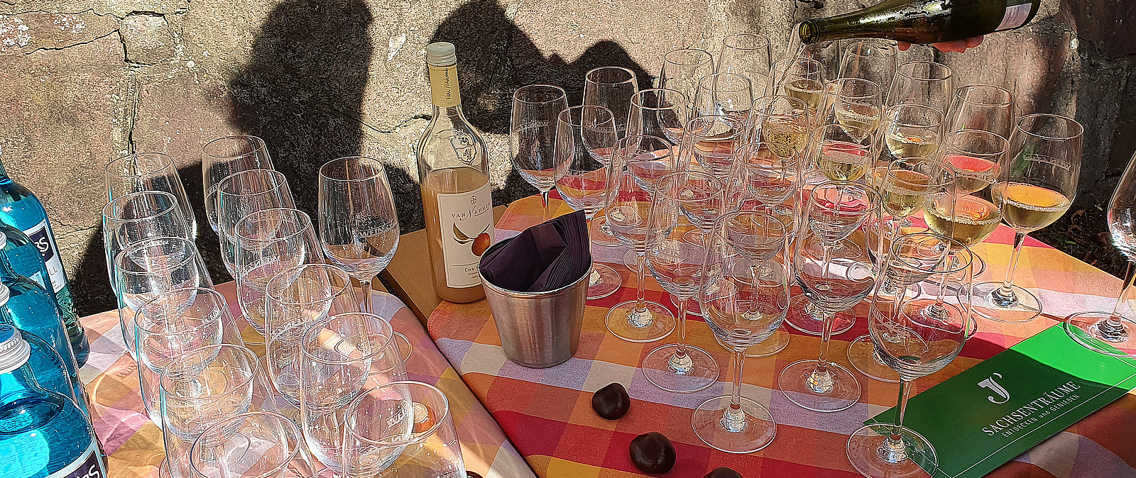 Weinwanderung in der GBruppe durch Radebeul Weinwanderung in der GBruppe durch Radebeul