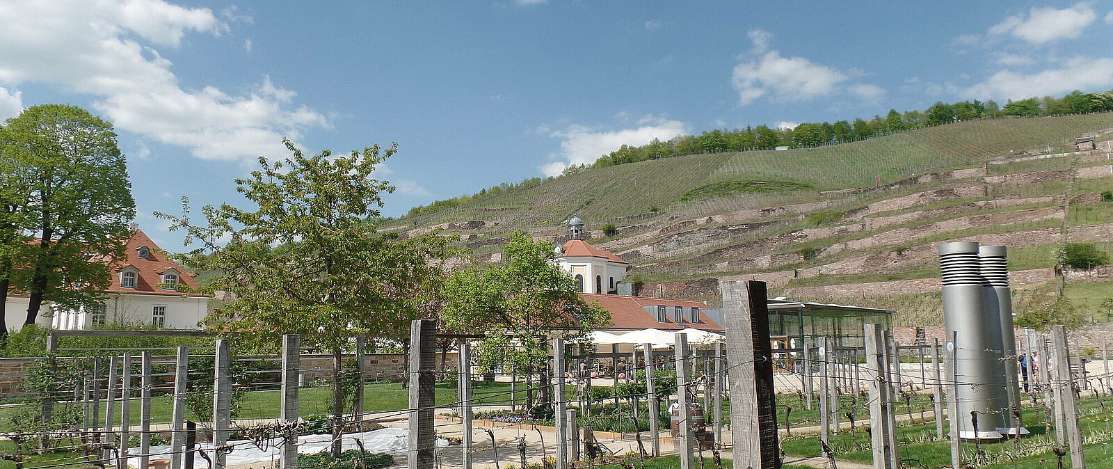 2003 eröffnete das ehemalige VEB Weinbau als Staatsweingut Schloss Wackerbarth seine Pforten neu. 