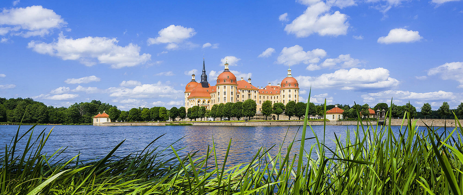 Besuchen Sie das Jagdschloss & Barockschloss Moritzburg mit seiner faszinierenden Gartenanlage und spannenden Ausstellung zur Geschichte der Sächsischen Herrscher.