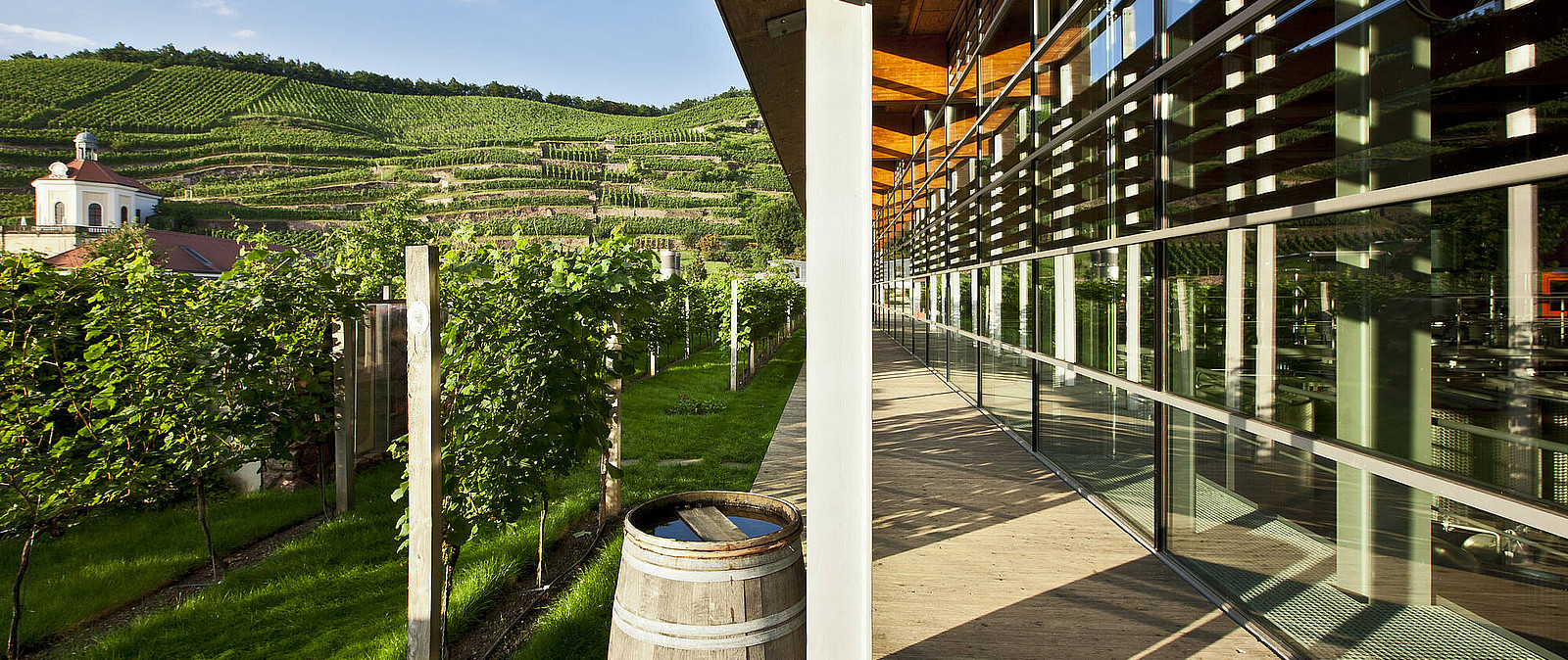 Das Erlebnisweingut Schloss Wackerbarth