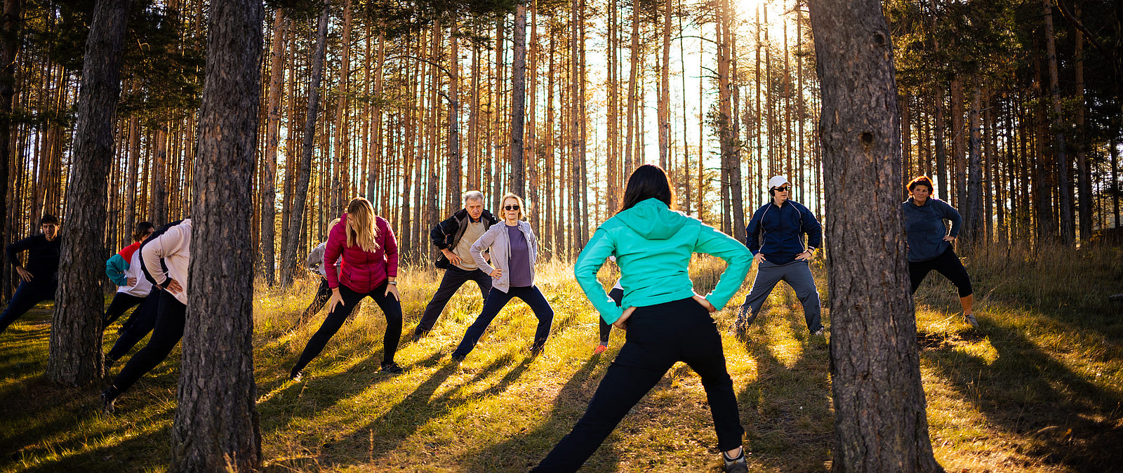 Yogawandern in der Oberlausitz