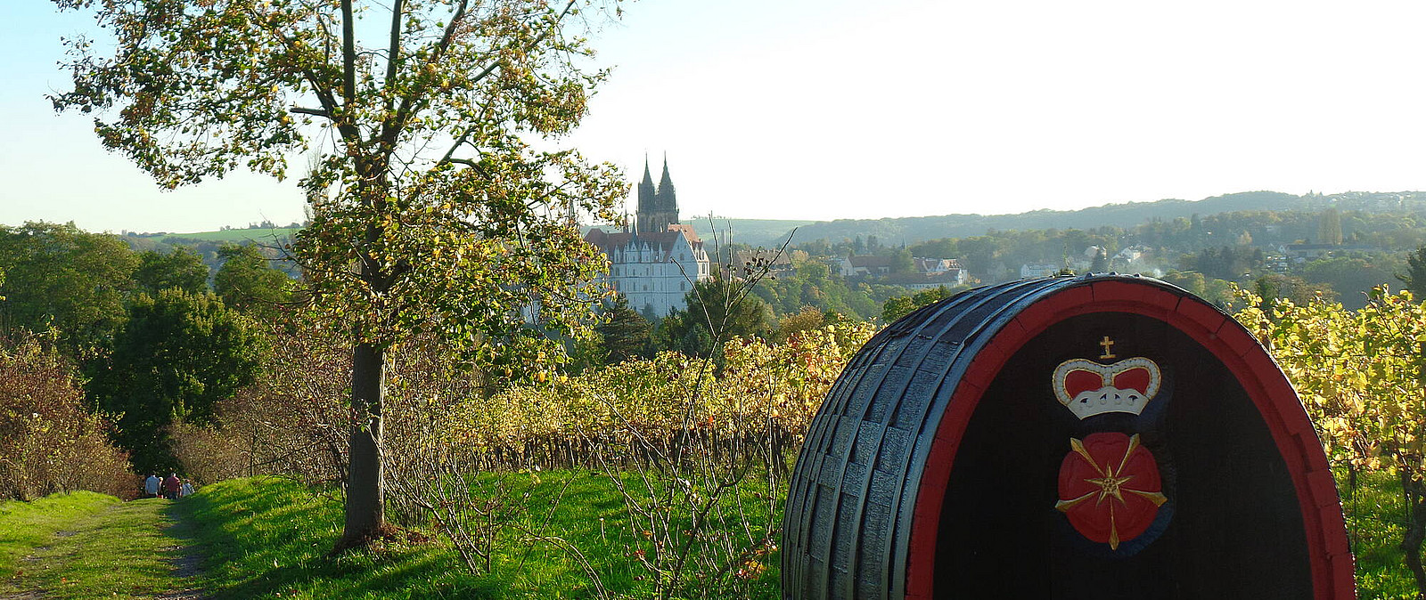 Der Wein gehört zu Meißen wie kein zweiter - über 30 Weingüter finden Sie in nächster Nähe. Da ist für jeden Geschmack etwas dabei. Erkunden Sie sächsische Weine - eine echte Rarität und dabei schmackhafte Handwerkskunst"