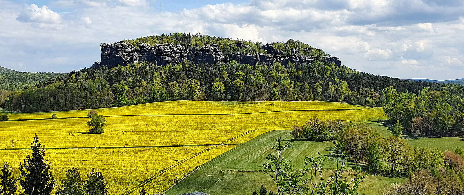 ein wundervoller Panoramablick in der Sächsischen Schweiz, direkt auf dem Pfaffenstein. So schön kann Sachsen sein! Erleben Sie mit uns ein Abenteuer im Elbsandsteingebirge und werden Sie mit solch einem Anblick belohnt