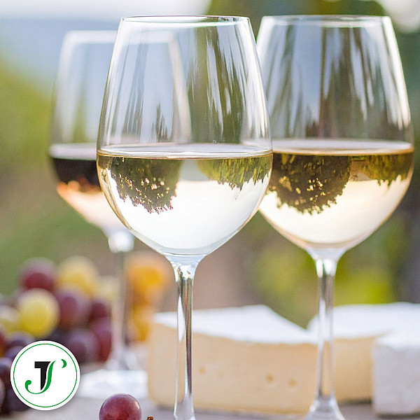 Bild Weinwanderung Radebeul Wein- und Käseverkostung in den Radebeuler Weinbergen