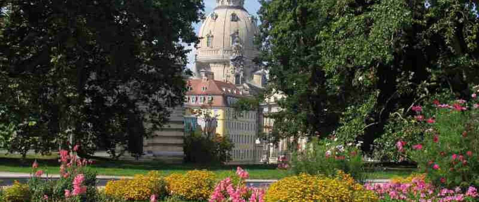 Während des Stadtrundganges besuchen wir die Dresdner Frauenkirche, den Fürstenzug und den Zwinger mit neuen Orangenbäumen