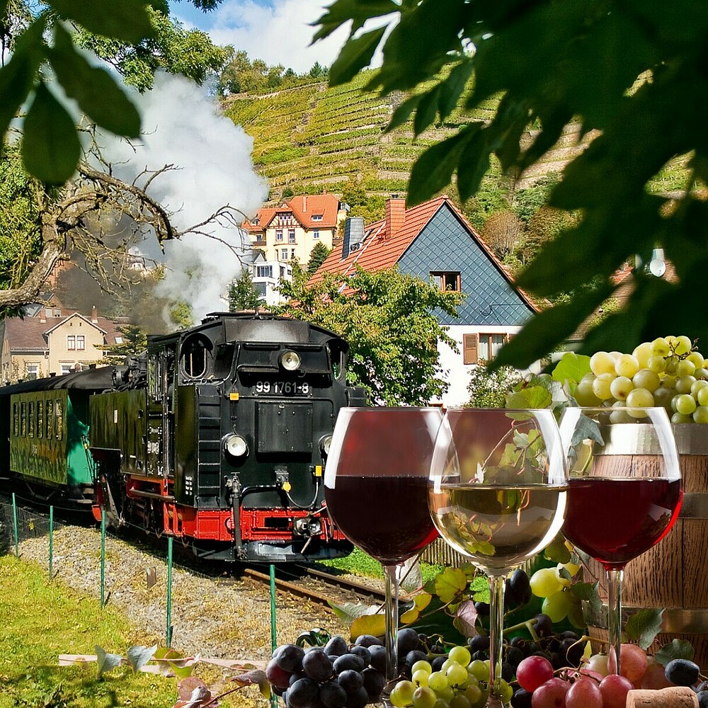 Weingenuss auf schmaler Spur in der Lössnitzgrundbahn