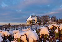 © Weingut Hoflössnitz