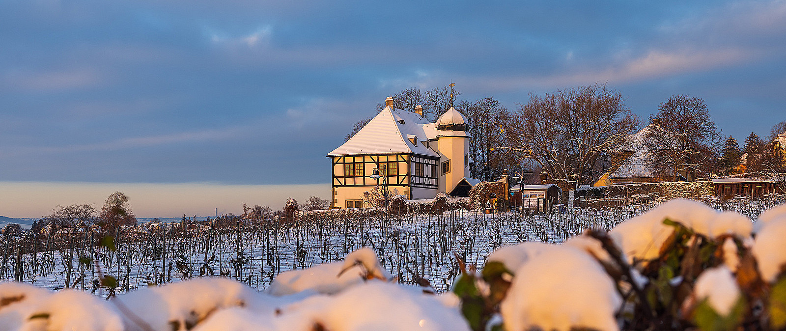 Weingut Hoflössnitz im Winter
