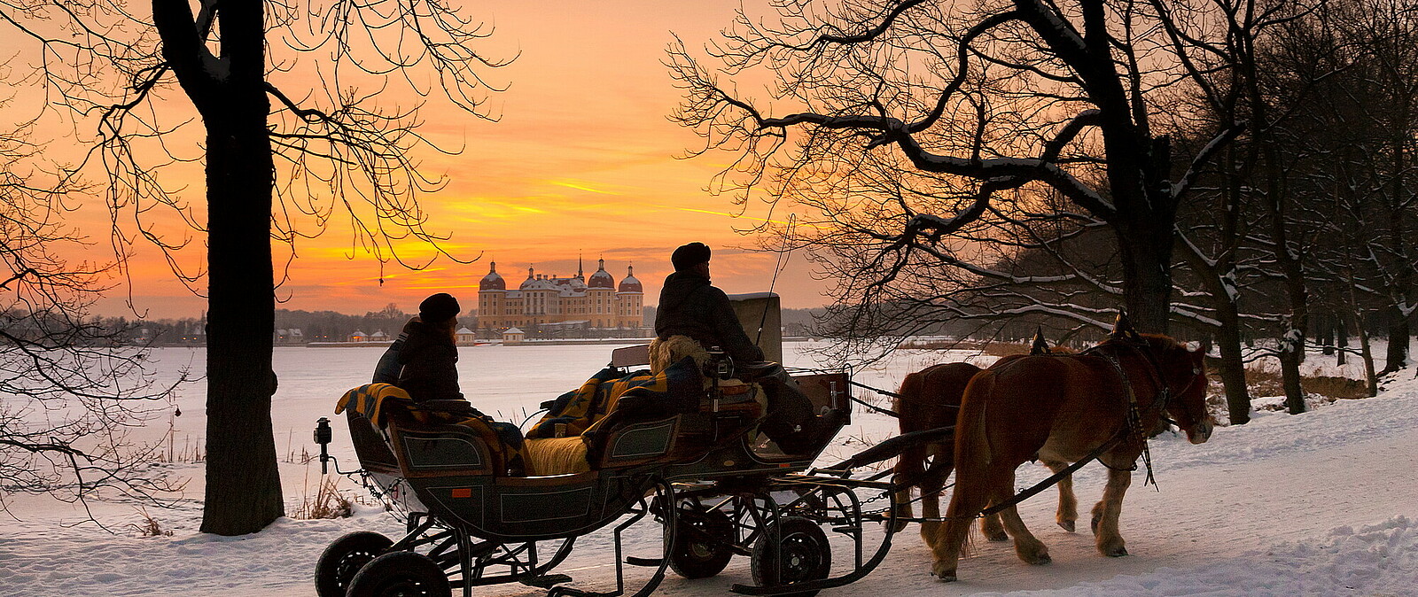 Winterliche Pferdeschlittenfahrt um das Schloss Moritzburg