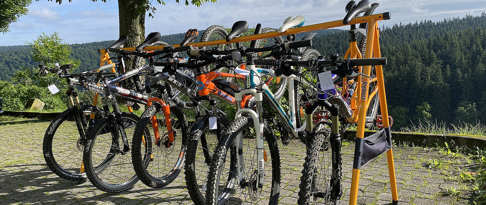 geführte E-Mountainbiketouren im Erzgebirge