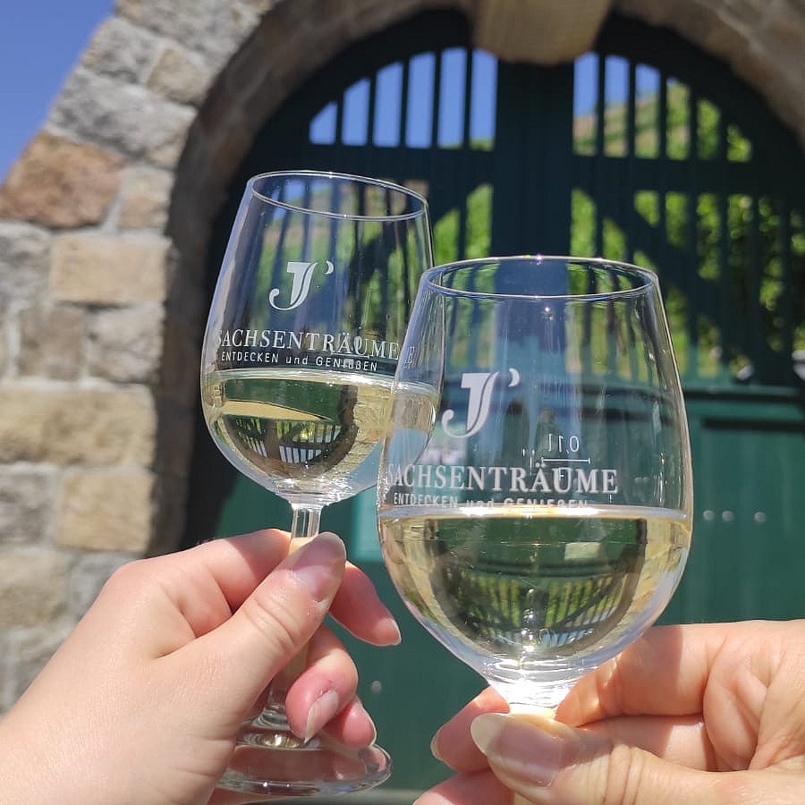 Im team in Radebeul zur Weinwanderung unterwegs