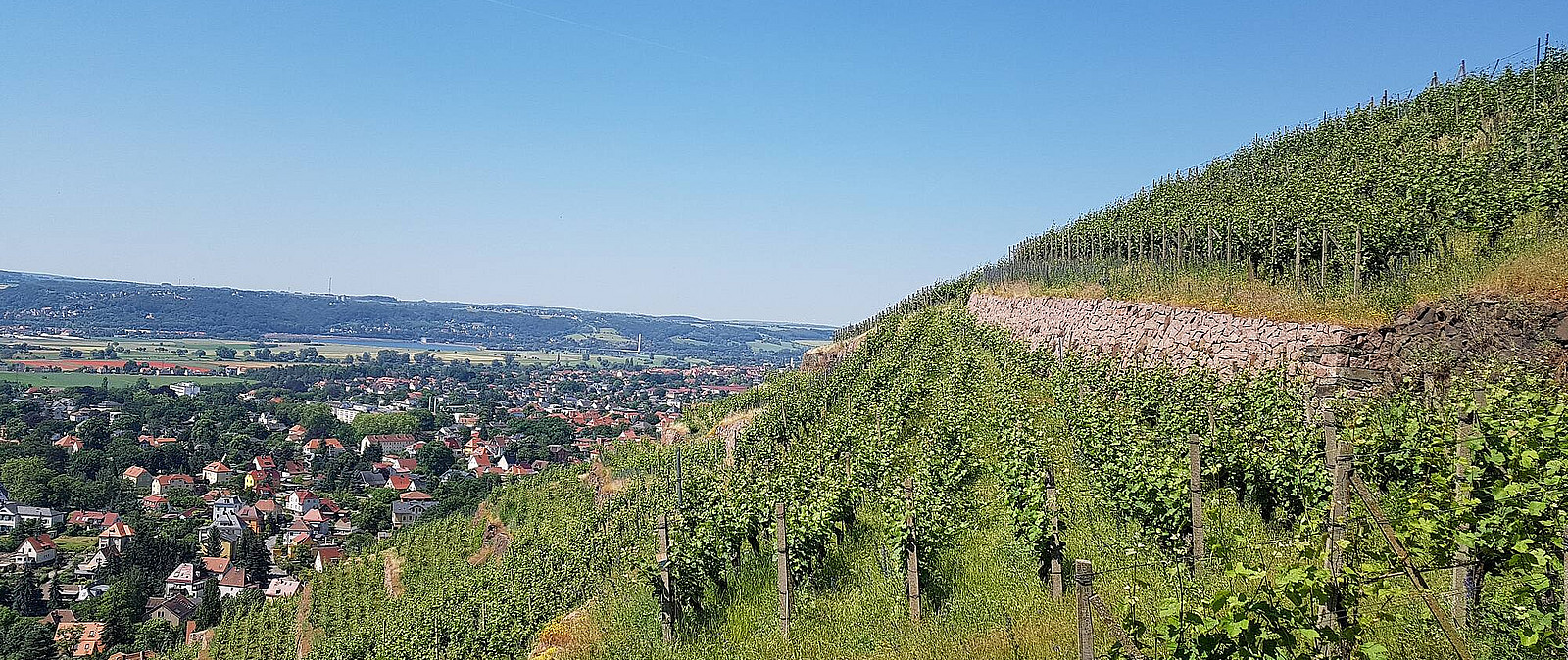 Genießen Sie einmalige Panoramablicke während unserer Spurensuche "auf Bussards Spuren"